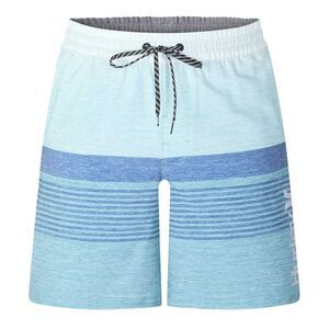 Hurley Mens Colour Block Relaxed Fit Board Shorts / Emerald